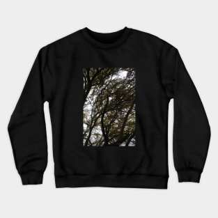 tree shadows Crewneck Sweatshirt